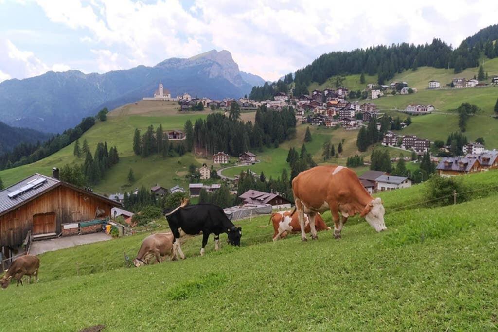 App Col Di Lana - Agriturismo La Majon Da Col Коле Санта Лучия Екстериор снимка